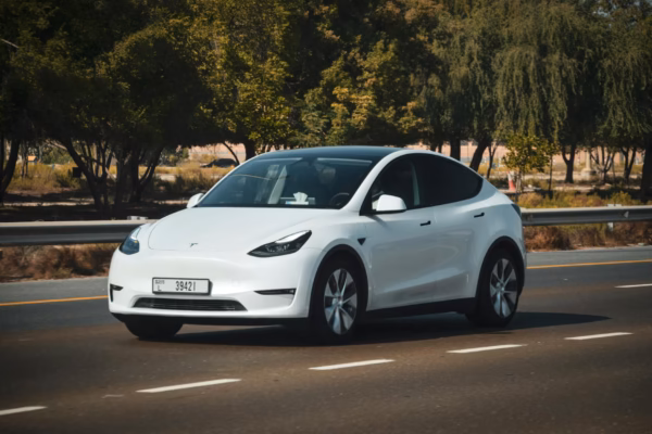 Tesla Model Y 2026: ভারতে ৯ লাখ টাকা কমল দাম, নতুন মডেলে চমক