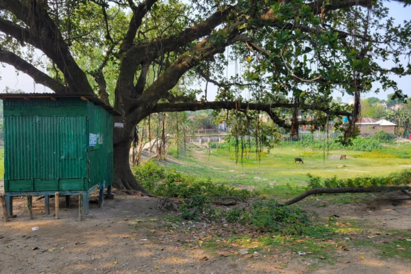 ঘটনার প্রেক্ষাপট ও তদন্তের মোড়