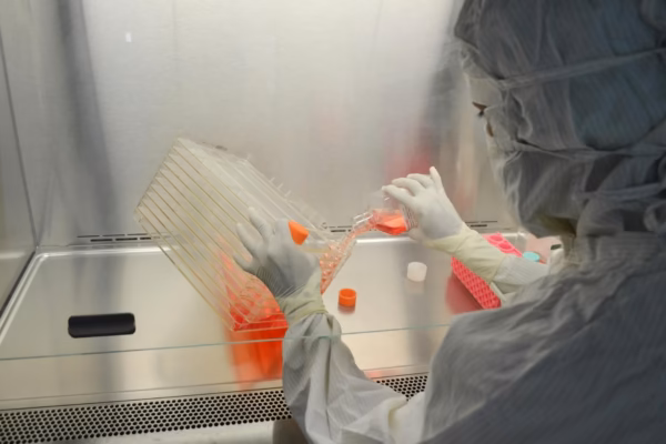 Scientists Achieve Precise Gene Editing in Human Embryos, Sparking Hope and Ethical Debate