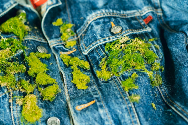 The Denim Dilemma: Can Fashion's Favorite Fabric Coexist with a Healthy Planet?