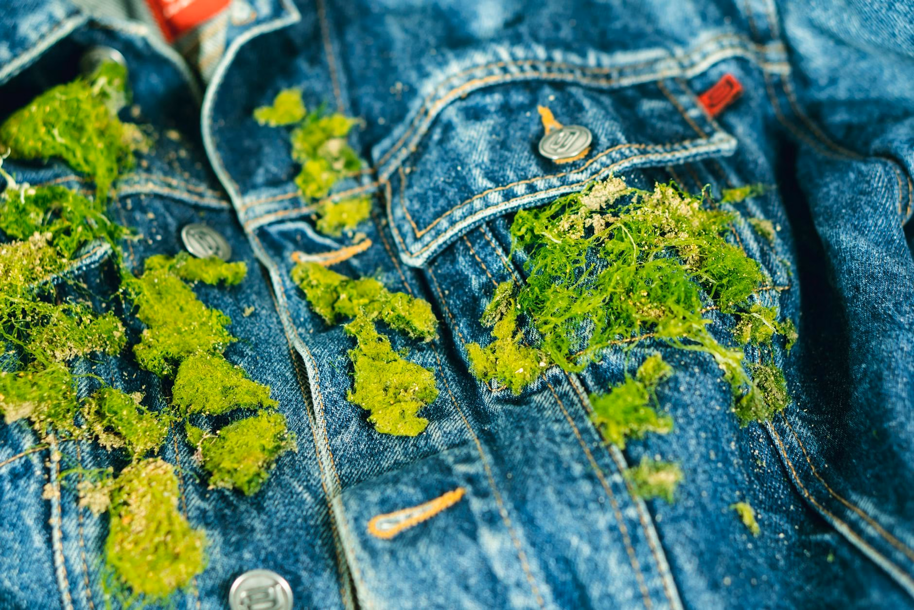 The Denim Dilemma: Can Fashion's Favorite Fabric Coexist with a Healthy Planet?